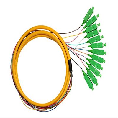 12 Core 24 Core 36core 48core 72core 96cord 144core SC/APC Singlemode Fiber Pigtail (96core, 180m)