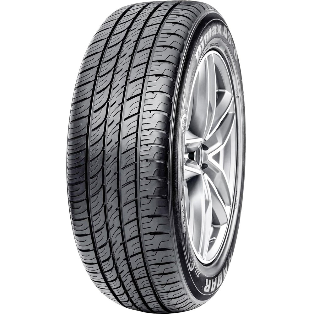 Radar Tires Dimax AS-8 Touring Radial Tire - 265/45ZR20 108W