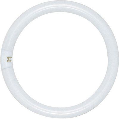 Satco Products SATCO Compact Fluorescent LAMP T9, CIRCLINE, 6500K, 76 CRI, 4-PIN Base, 12 in. Diameter, 32 WATTS, 12 PER CASE