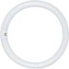 Satco Products SATCO Compact Fluorescent LAMP T9, CIRCLINE, 6500K, 76 CRI, 4-PIN Base, 12 in. Diameter, 32 WATTS, 12 PER CASE view 1