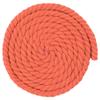 West Coast Paracord Twisted 3 Strand Natural Cotton Rope Artisan Cord  1/4, 1/2, 5/8, 3/4 and 1 Inch Diameters  10, 25, 50, 100 Feet view 1