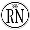 BSN RN Registered Nurse Euro 3M Vinyl Decal Bumper Sticker (Pack of 10) 3x5 inches view 1