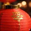 Luxtea 2 Pack Chinese Dragon Boat Festival Lanterns, 12" Red Silk Lunar New Year Decorations, Waterproof & Fade-Resistant Hanging Lanterns with Tassels for Wedding, Outdoor Garden & Home Decor view 4