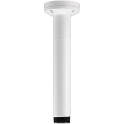 Pendant Pipe Mount 12In 31cm