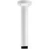 Pendant Pipe Mount 12In 31cm view 1