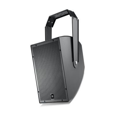 JBL Professional AWC129-BK All-Weather Compact 2-Way Coaxial Loudspeaker with 12-Inch LF, Black