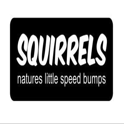 3 - Squirrels Natures Little Speed Bumps Funny Hard hat Helmet 3" x 1.25" Vinyl Decals Bumper Stickers