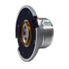 SS Audio Diaphragm Compatible with JBL 2414H, 2414H-1, 2414H-C, Mylar, 8 Ohms view 3