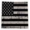 CustomDecal US Colorado State (N8) - Premium Distressed Flag Vinyl Decal - American State Pride Sticker for Cars, Trucks, Windows, and Laptops - USA Flag Black and White Design - Waterproof 5'' view 1