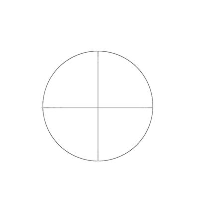 BoliOptics Microscope Eyepiece Reticle Cross Line Scale Dia. 21mm RT20102132