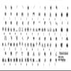 Online-Welcome Chinese Transparent Keyboard Sticker Black view 1