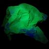 Prop And Scenery Lights 5 Pack LED Mini Blacklight for Uv Effects 9 Volts view 4