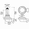 HELLA H11B Standard Halogen Bulb, 12 V, 55W view 2