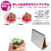  M-PAN 220417-05 Ring Notebook with Reflector, Colored, Red view 2