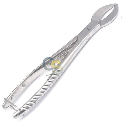 G.S Cow Horn Plaster Nipper Dental Instruments
