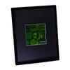 3D Camera Guts 4" Square with Stars Background Hologram Picture (Framed), Collectible Photopolymer Film view 2