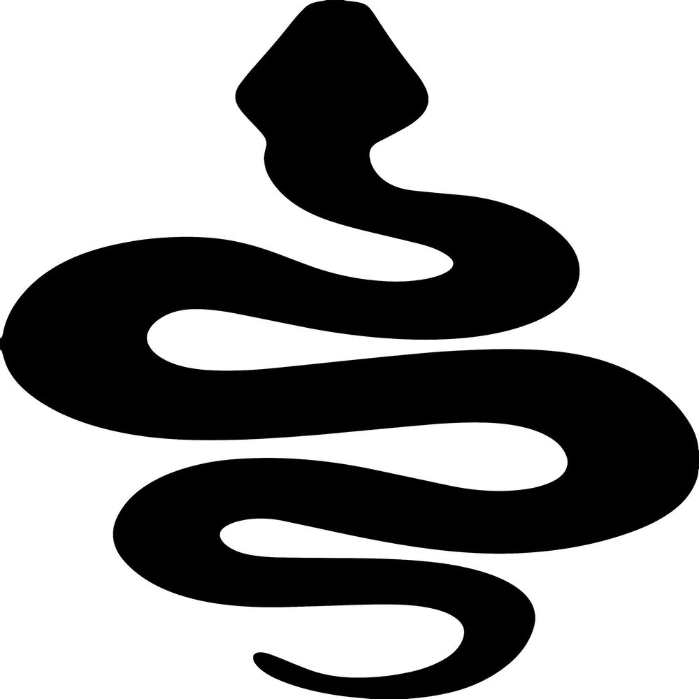 ANGDEST Snake Silhouette (Black) (Set of 2) Premium Waterproof Vinyl Decal Stickers for Laptop Phone Accessory Helmet Car Window Bumper Mug Tuber Cup Door Wall Decoration
