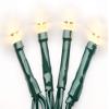 Roman 100L USB WARMWHITE LED Green Cord 10 Function 8/16 Timer view 1