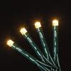 Roman 100L USB WARMWHITE LED Green Cord 10 Function 8/16 Timer view 3