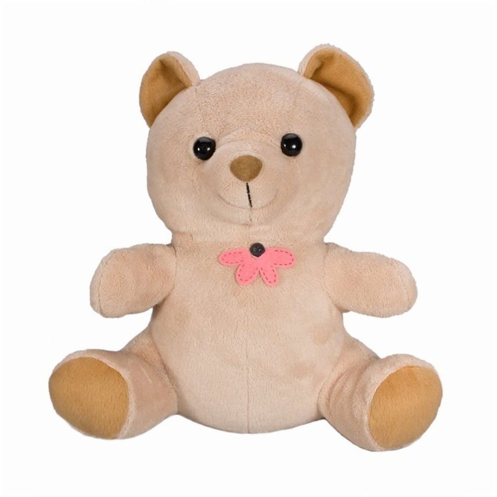 SC70024K - Xtremelife 2160P DVR Teddy Bear