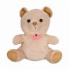SC70024K - Xtremelife 2160P DVR Teddy Bear view 1