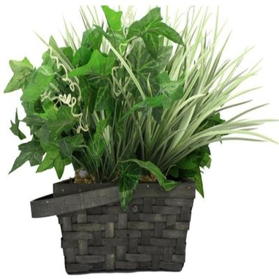 SC70404K - Xtreme Life 2160P DVR PIR Plant