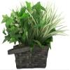 SC70404K - Xtreme Life 2160P DVR PIR Plant view 1