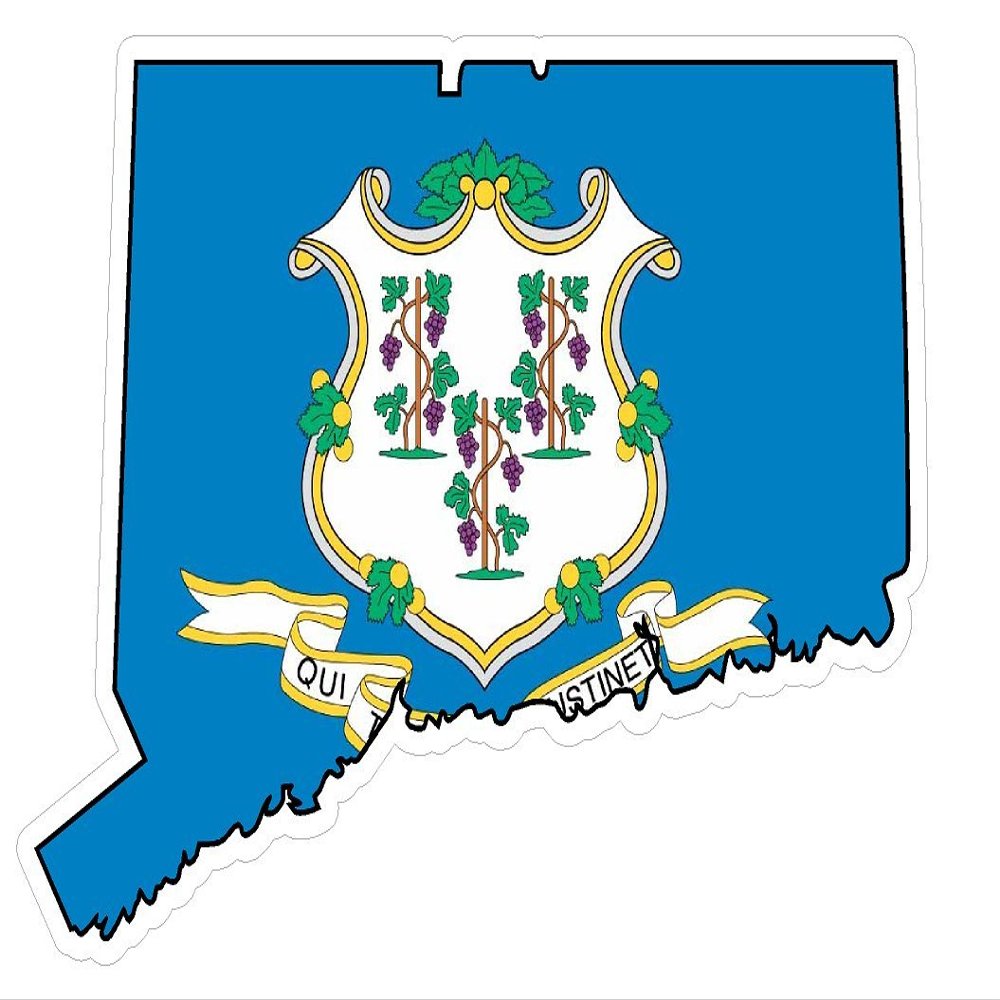 CustomDecal US Connecticut State (Q9) - Premium Distressed Flag Vinyl Decal - American State Pride Sticker for Cars, Trucks, Windows, and Laptops - USA Flag Black and White Design - Waterproof 5''