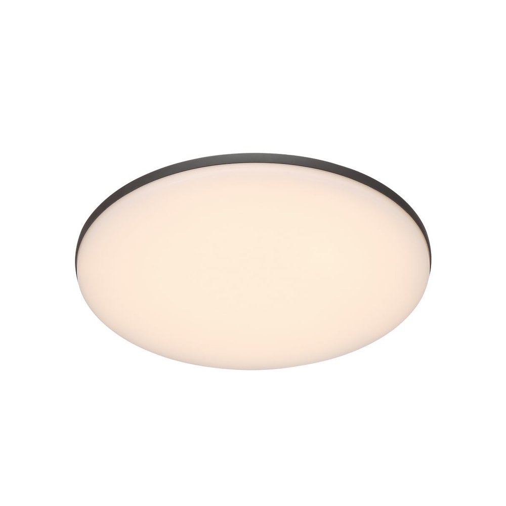 EuraFase 34118-016 Wall Mount