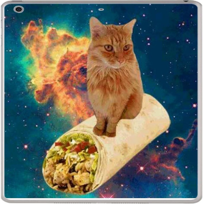 Debbie's Designs Cat on a Burrito Funny Vinyl Decal Sticker Skin for iPad Air