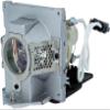 Genuine OEM Replacement Lamp for BenQ SP920P Left Projector - IET Lamps with One Year Warranty (Power by Philips) view 1