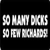 3 - So Many Dick's So Few Richards Hard Hat/Biker Helmet Sticker BS 1039 view 1