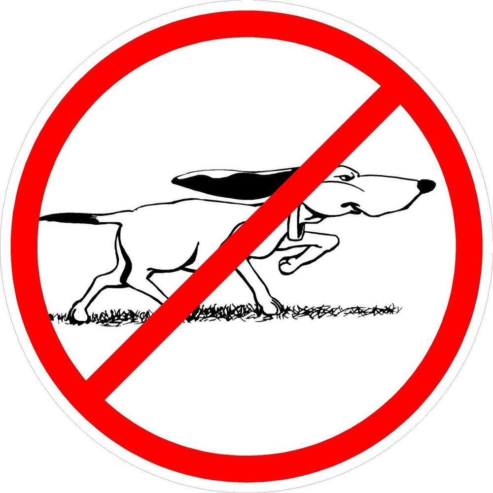 3 - No Bird Dogs Black Union and White Snitch Hard Hat/Helmet Sticker HH797