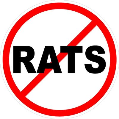 3 - No Rats Text Union Oilfield Hard Hat/Helmet Sticker HH812