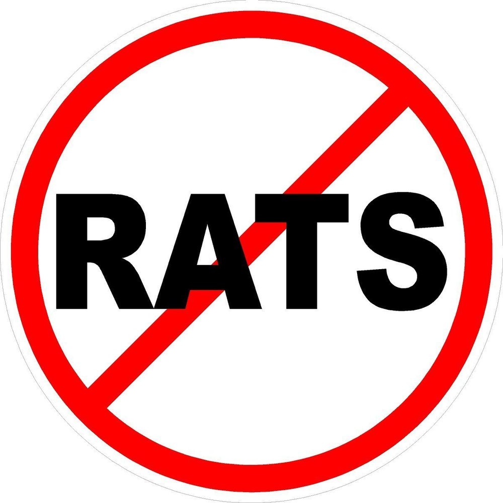 3 - No Rats Text Union Oilfield Hard Hat/Helmet Sticker HH812