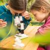Bresser Junior Stereo 3D Microscope ICD-Pro with 20x and 50x Magnification for Children and Adults for Observing Stones, Coins, Insects and Much More 20x / 50x view 4