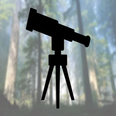 Telescope - Vinyl Decal - Car Truck Laptop - Select Size