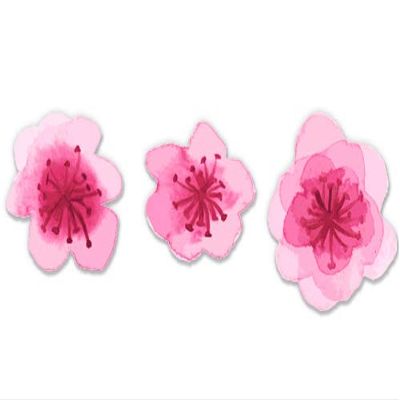 Cherry Blossoms Set of 3-7" Each Vinyl Stickers Waterproof Decals