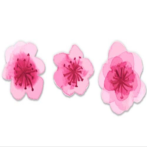 Cherry Blossoms Set of 3-7" Each Vinyl Stickers Waterproof Decals