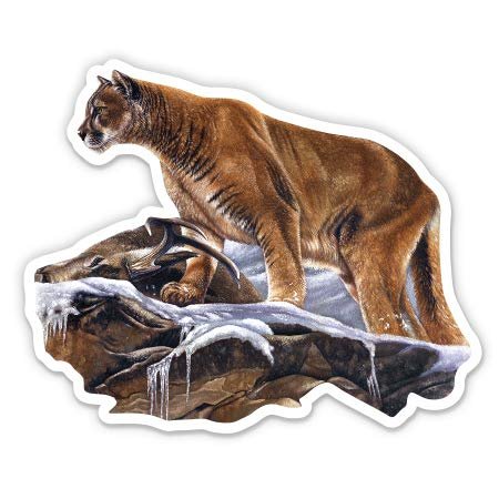 Cougar - 3" Vinyl Sticker - for Car Laptop I-Pad Phone Helmet Hard Hat - Waterproof Decal