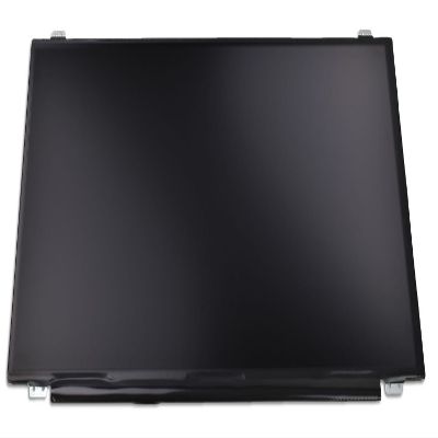 Lenovo Display 15.6 FHD IPS NT 250 AG, 01LV733