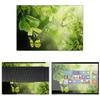 Decalrus - Protective Decal Butterfly Skin Sticker for Razer Blade 15 RZ09 (Released 2015) (15.6" Screen) case Cover wrap RZblade15-132 view 1