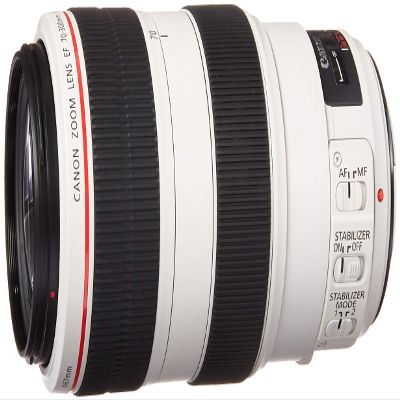 Canon EF 70-300mm f/4-5.6L is USM UD Telephoto Zoom Lens for Canon EOS SLR Cameras (Renewed)