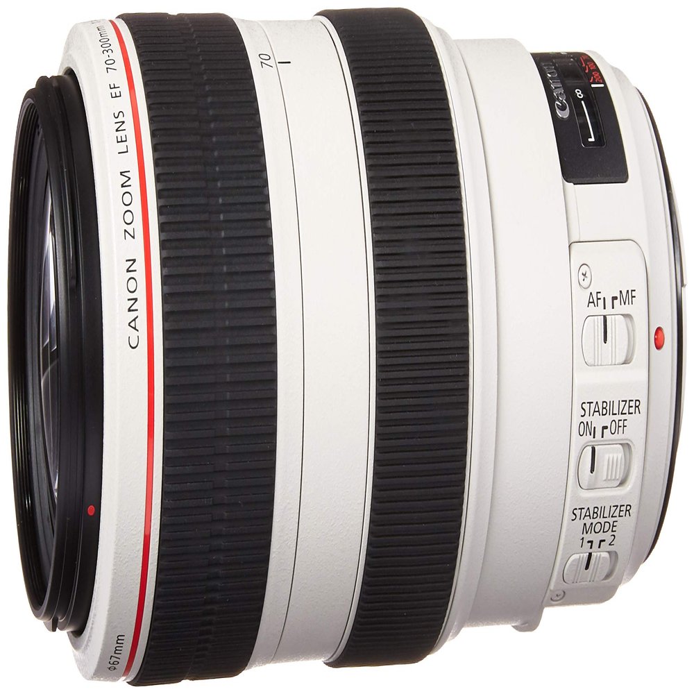 Canon EF 70-300mm f/4-5.6L is USM UD Telephoto Zoom Lens for Canon EOS SLR Cameras (Renewed)