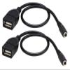 zdyCGTime USB 2.0 AFemale to DC 3.5x1.35mm Female Adapter Cable 5 Volt DC Barrel Power Jack Charging Cable for Tablet, Electronic Dog, Access Control Attendance (28CM/11inch F/F, DC 3.5x1.35mm-2packs) view 1