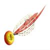 Majorcraft TM-1005GOLDORANGE Tainomi 100g view 1