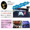 Meikosya S-1HK Sweetfish Black Reflective view 2