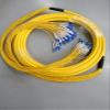 12 Core 24 Core 48core 72core 144core LC SingleMode Bunch Fiber Optic Patch Cable (5m, 48core) view 3