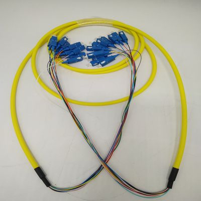 12 Core 24 Core 48core 72core 144core SC SingleMode Bunch Fiber Optic Patch Cable (15m, 72core)