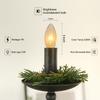 Holiday Joy C7 Bulbs Clear 7 Watt Candelabra Base E12 Window Candle view 2